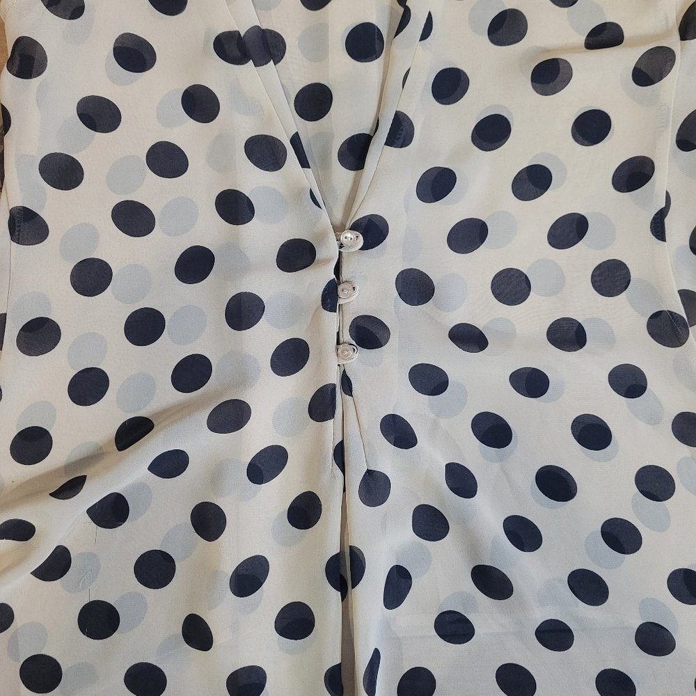 San Souci Polka Dot Sheer Blouse - Picture 5 of 8